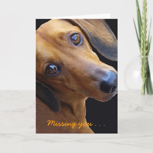 Dachshund de Brown, faltándole. Tarjeta de (Anverso)