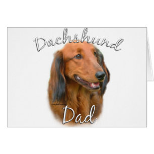 Dachshund (de cabello largo) papá 2
