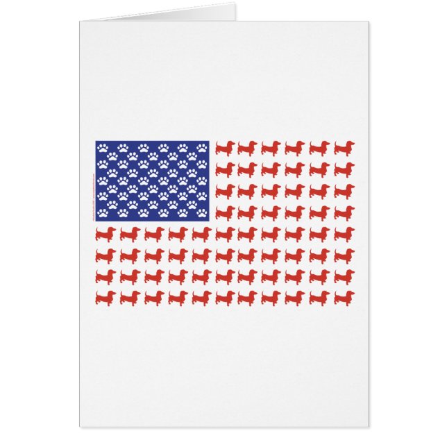 Dachshund de Estados Unidos (Frente)