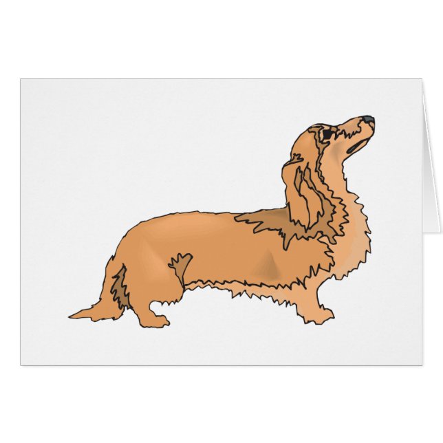 Dachshund de pelo largo (Anverso (Horizontal))