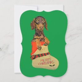 Dachshund en un Navidad de pie