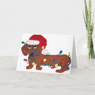 Dachshund enredado en las luces de navidad (rojas)