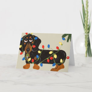 Dachshund Enredado En Luces De Navidad Negro/Canel