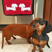 Dachshund Kitchen Dish Toalla Waffle