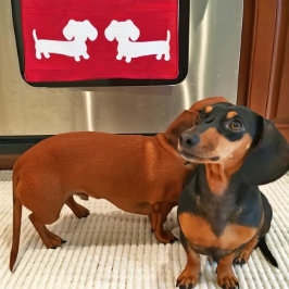 Dachshund Kitchen Dish Toalla Waffle