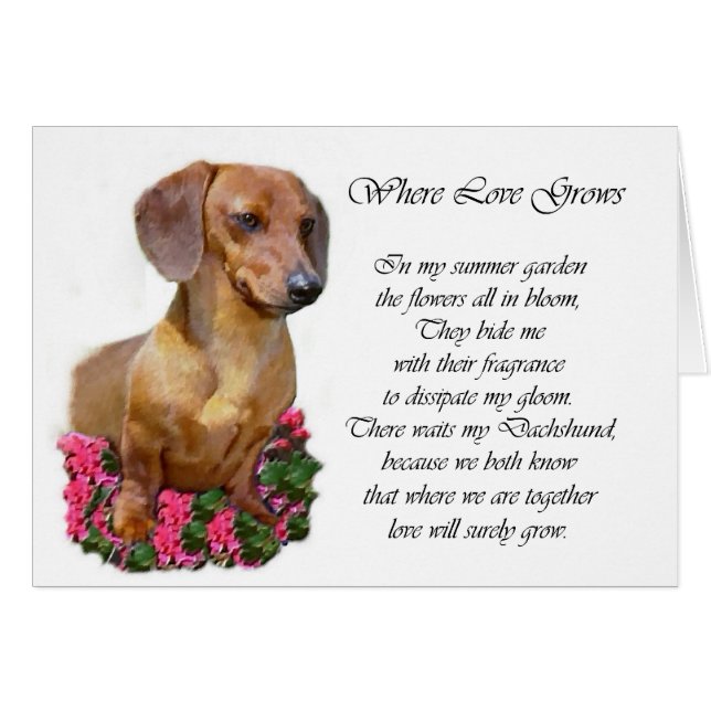 Dachshund Lovers Gifts (Anverso (Horizontal))