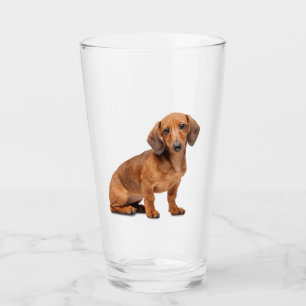 Dachshund Mascota Animal Glass