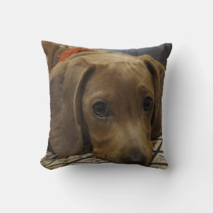 Dachshund Mascota Cojín decorativo perro Decoració