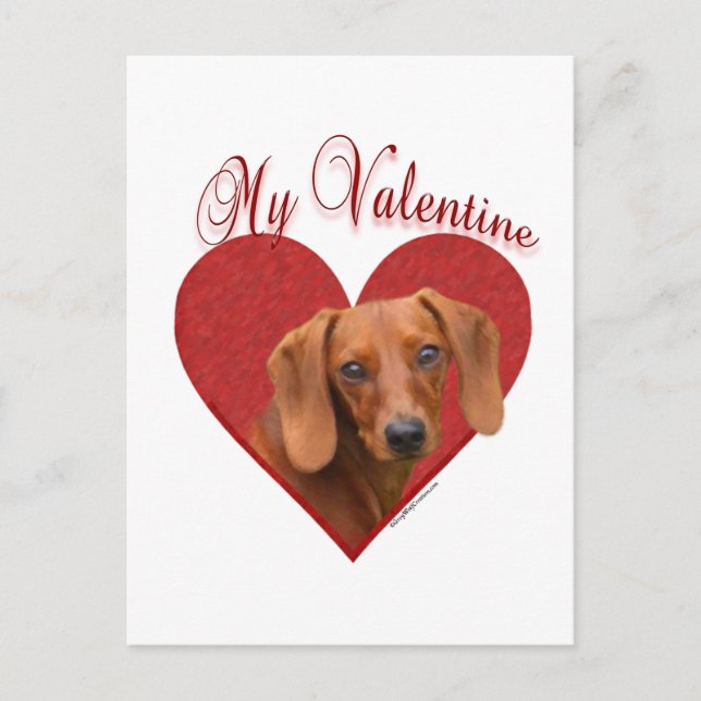 Dachshund mi tarjeta del día de San Valentín (Anverso)