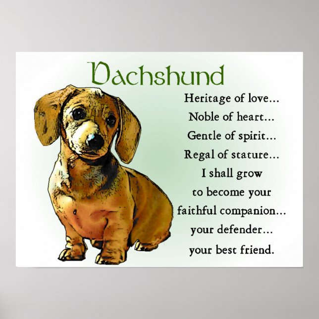 Dachshund Regalos Posters Impresiones Dachshund (Frente)