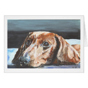 Dachshund relajado