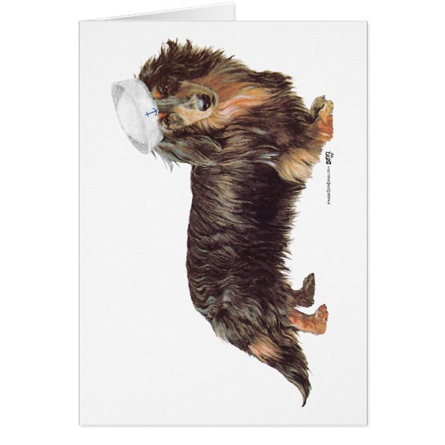 Dachshund Sailor (Frente)