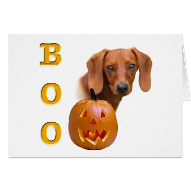 Dachshund (suave) Boo (Anverso (Horizontal))