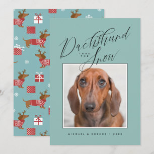 DACHSHUND THRU LA NIEVE Añadir tu foto