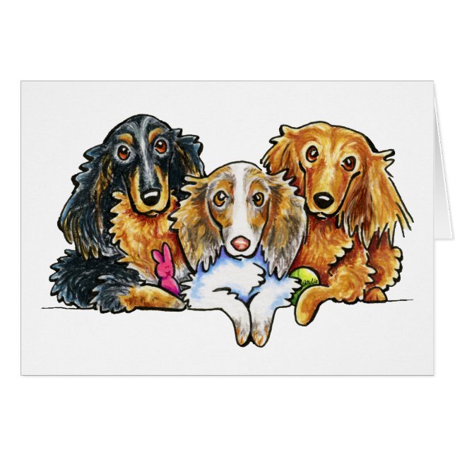 Dachshund Trio de pelo largo (Anverso (Horizontal))