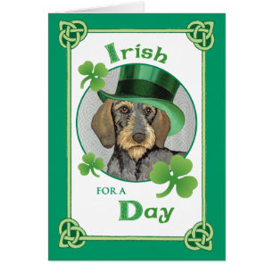 Dachshund Wirehaired del día de St Patrick