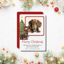 Dachshund y el Mascota de árboles de Navidad Perro