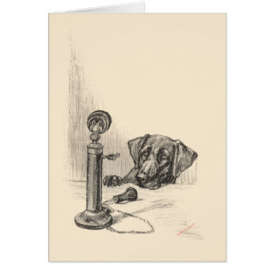 Dachshund y teléfono antiguo