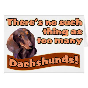 DACHSHUNDS