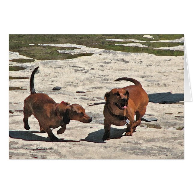 Dachshunds Blank Card (Anverso (Horizontal))