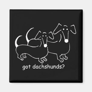 dachshunds conseguidos imán de #2