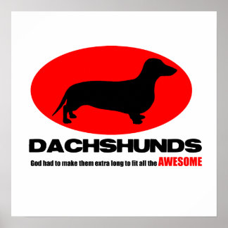 Dachshunds - Dios los hizo Posters extra largos