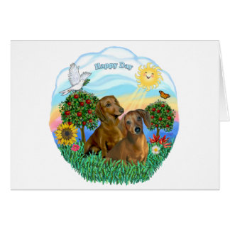 Dachshunds (dos rojos o marrones)