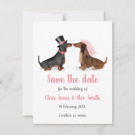 Dachshunds en el amor salva la tarjeta de cita (ni