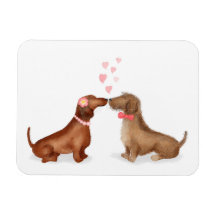Dachshunds en el imán del refrigerador del amor (c