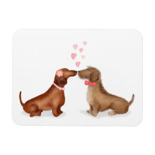 Dachshunds en el imán del refrigerador del amor (c