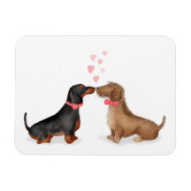 Dachshunds en el imán del refrigerador del amor (d