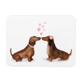 Dachshunds en el imán del refrigerador del amor (d