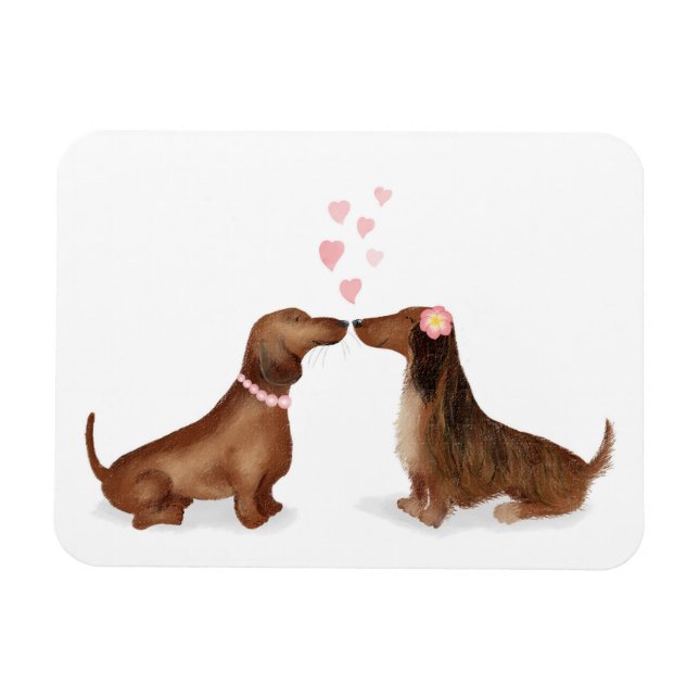 Dachshunds en el imán del refrigerador del amor (d (Horizontal)