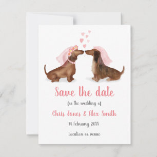 Dachshunds enamorado salva la tarjeta de fecha (ch