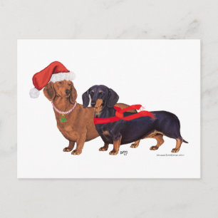 Dachshunds Navidad