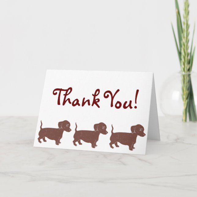 Dachshunds Tarjeta de agradecimiento (Anverso)