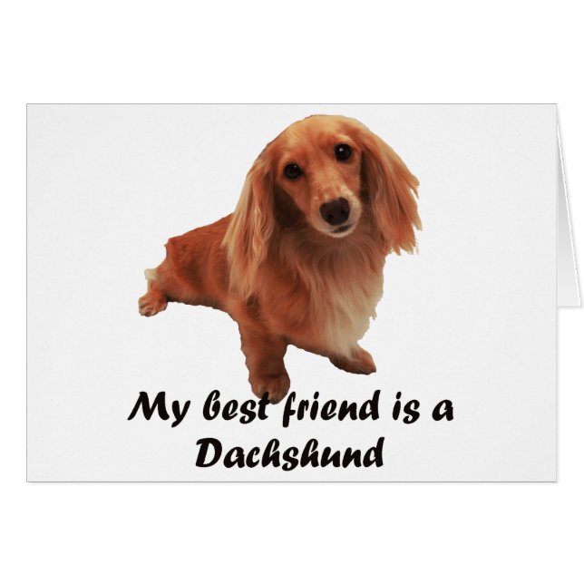 "Dackel" (Anverso (Horizontal))