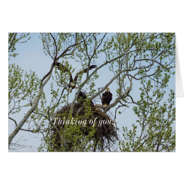 Daddys Home Thinking Of You Card (Anverso (Horizontal))