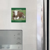 Dadles el pájaro por el imán de acción de gracias