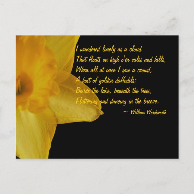 Daffodil amarillo; postal de poema de William Word (Anverso)
