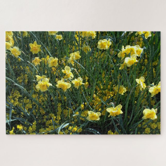 Daffodil delight jigsaw puzzle (Horizontal)