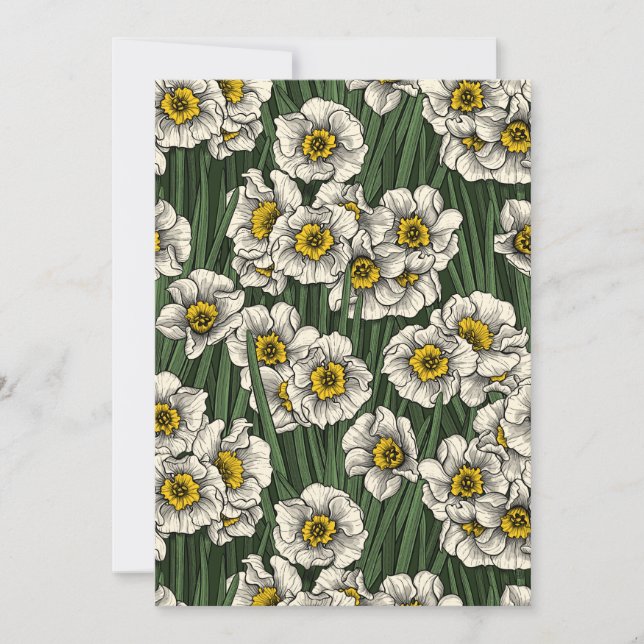Daffodil garden (Anverso)