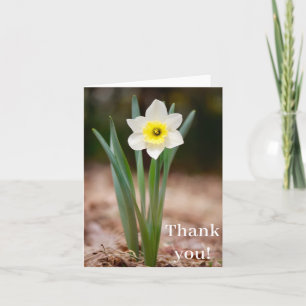 Daffodil "¡Gracias!" Tarjeta (luz)