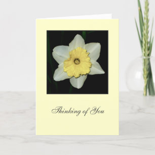 Daffodil 'Pensando en ti' Tarjeta de felicitación
