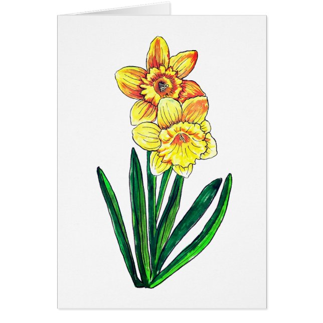 Daffodils Blank (Frente)