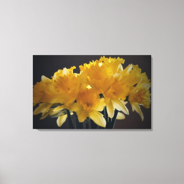 Daffodils Flower Canvas arte fotográfico (Anverso)