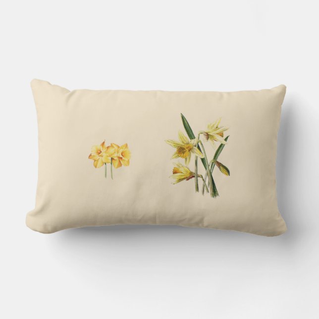 Daffodils lanzan almohada (Anverso)