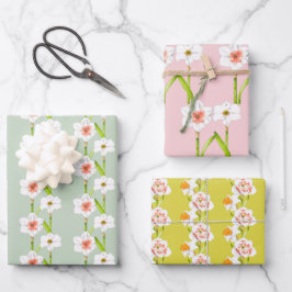 Daffodils sobre un juego de papel de envolvimiento