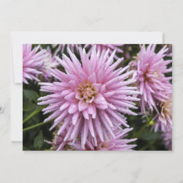 Dahla rosa - Tarjeta de saludo plana