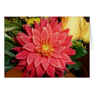 Dahlia